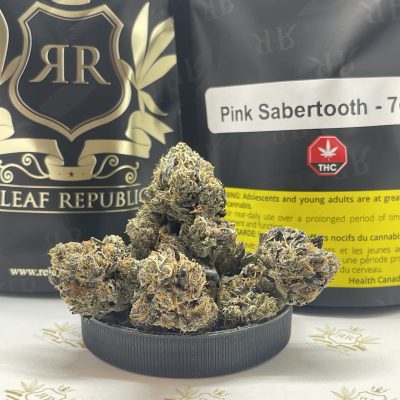 Pink Sabertooth By BC Beautiful Flowers – AAAA+ GAS