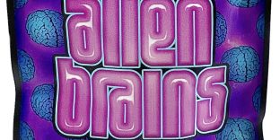Alien Brain – Astropink – 500mg